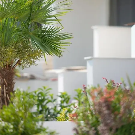 Twins Yard Nikiti (Sithonia)