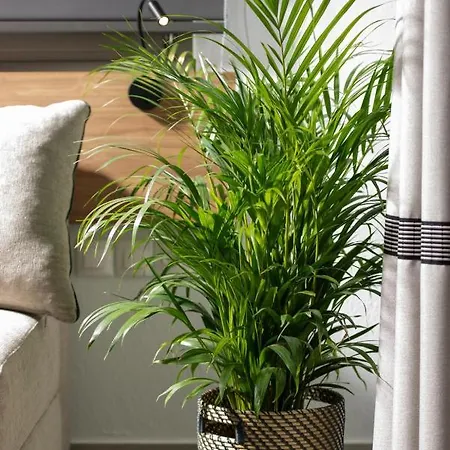 Апартаменты Twins Yard Никити