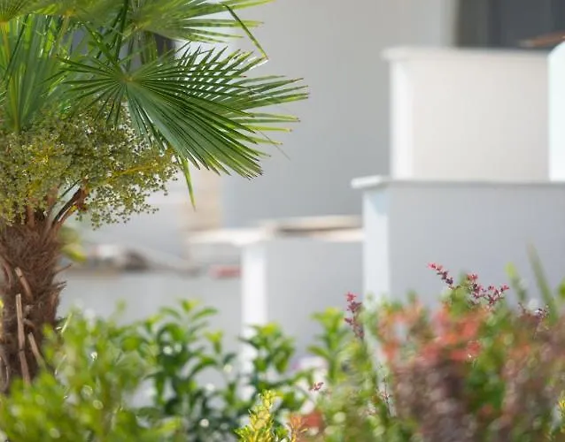 Twins Yard Nikiti (Sithonia)