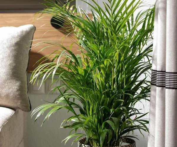 Apartamento Twins Yard Nikiti (Sithonia)